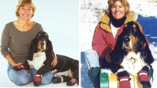 Warm Winter Weather, Weak Economy Take Bite Out Of Pet Sector Sales