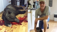 Hungry Grizzly Shot Dead While Invading Home Of Experienced Hunter In Kimberley