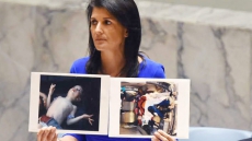 Not Going To Run Scared From North Korea: Nikki Haley