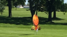 Rachel Notley Responds To Having Her Face Made Up As Golf Course Target