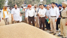 Punjab, Haryana procure over 150 lakh tonnes paddy