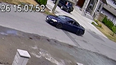 After 24 Pellet Gun Attacks, Abbotsford Police Arrest One, Search For Second Suspect