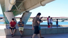 Pokemon Go Player Almost Hit By Driver Also Playing Pokemon Go