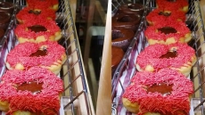 'All Good Intentions:' Tim Hortons Poppy Doughnut Causes Social Media Stir
