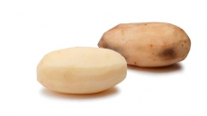 Health Canada, Cfia Approve Genetically Engineered Potato With Reduced Browning