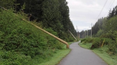 Thieves Use Chainsaws To Down Power Poles In Surrey And Strip Copper: BC Hydro