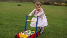 Princess Charlotte's Playmate? Royals Welcome A Hamster