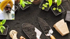 75-Year-Old Sikh Grows World's Longest Cucumber, Prayed To It Everyday