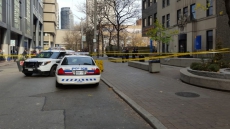 Heart Found Outside Toronto's Ryerson University Building Appears Too Large To Be Human: Police