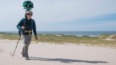 Wild Horses, Seals Of Remote Sable Island Now On Google Street View