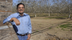 Meet Sarabjit Johl Who Created The Very Special Indian Connect To California Walnuts