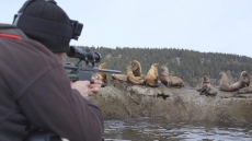 Humans Reshaping Evolutionary History Of Species Around The Globe: Paper