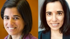 Meet SEEMA NANDA, The Indian-American Who Became The CEO Of Democratic Party