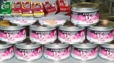 2 Men Charged In Seizure Of 300 Kg Contraband Shisha Tobacco At Edmonton Convenience Store