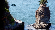 Siwash Rock Name Disrespectful To First Nations Says Vancouver Park Board