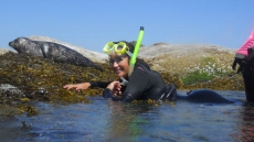 In Nanaimo, B.C., Snorkelling With Seals Is An Option Even In Winter