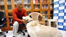 Somnath Bharti's Dog, Who Was Accused Of Biting His Wife, Is Dead