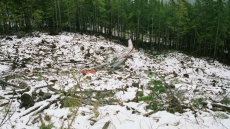 BC Airline Owner Ranjit Singh Gill Can't Fight Loss Of Company's Licence Following 2006 Tofino Crash