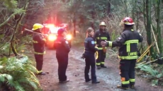 Fire Crews Douse Blaze After Ancient Tree Toppled In Vancouver's Stanley Park
