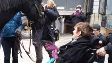Ontario Woman In Hamilton Hospital Gets Dying Wish To See Her Horse One Last Time