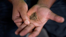 Delhi Government Bans All Forms Of Chewing Tobacco