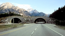 Trans-Canada Highway To Be Improved At Salmon Arm, B.C., With New Bridge Coming
