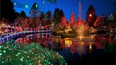 Vancouver Park Board delivers holiday magic ... and a carousel ride ... during Festival of Lights