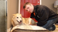 Alberta Man Punches Cougar In Head To Save Dog During Attack Near Tim Hortons