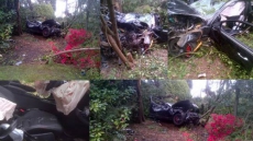 Vancouver Teen Allegedly Going Five Times Speed Limit Before Crash Faces Charge