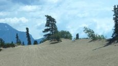 Horse Skull Disappears As Researchers Unearth Gold-Rush Era Skeleton In Yukon