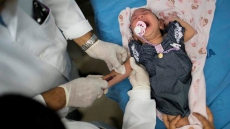 'Zika Virus Poses Only 'Very Low' Threat To Canada' -  5 Things You need To Know