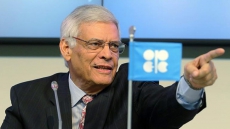 Businesses beyond the oilpatch taking crude price slump in stride