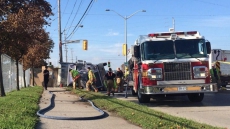 Driver Of Truck That Crashed While Carrying Pigs To Slaughterhouse Facing Charges