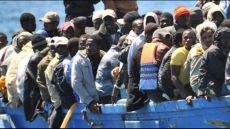 More than 1,300 illegal migrants try to enter Spain