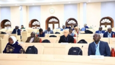 Civil servants of 6 African countries learning skills in Indian institute