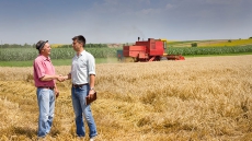 As Risk Of Farm Losses Rise, So Too Do Number Of Farmers Buying Crop Insurance