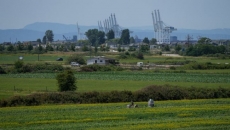 B.C.'s agriculture industry at forefront of climate change reality