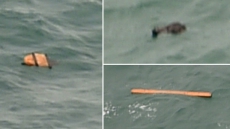 AirAsia Crash: Plane Landed Safely On Water Before Sinking?