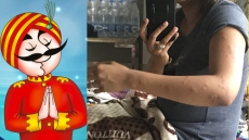 Air India Dismisses The Presence Of Bed Bugs On Its Newark-Mumbai Flight