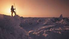 Humans arrived in the Americas from Asia much earlier: Study