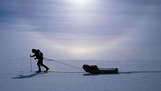 Our ancestors enjoyed summer holidays at Antartica!