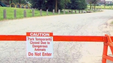 Saskatoon Hotel Cancels Trade Show That Was To Promote Africa Trophy Hunts