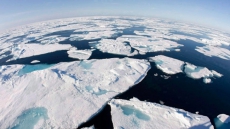 Arctic Sea Ice At Record Winter Low, Says Monitoring Agency