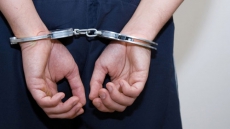 Suspect Arrested After Documents Stolen From Quebec Immigration Minister's Car