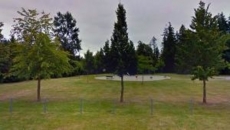 A group of South Asian grandmothers and kids targeted with racist slurs at a Surrey Park and had garbage thrown at them, South Asian politicians want action