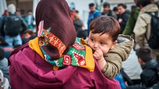 About half of summer's border crosser asylum cases heard so far rejected: IRB