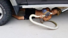 WATCH: Aussie Teen's Snake Rescue With Bare Hands Is Mindblowing
