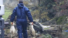 Avian Flu Spreads To First Non-commercial Backyard Coop In Langley