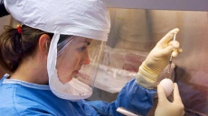 Avian influenza treatments identified