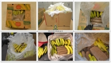 Concealing Cocaine in international shipments can be bananas: Kelowna RCMP